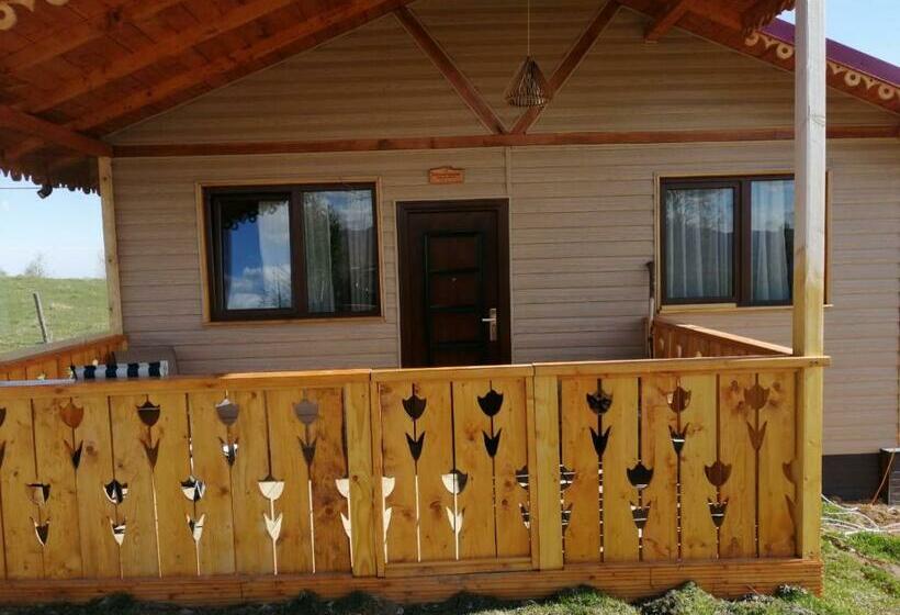 膳宿费 Cabana De Lemn Runcu Stone