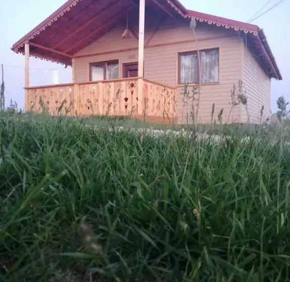 Majatalo Cabana De Lemn Runcu Stone