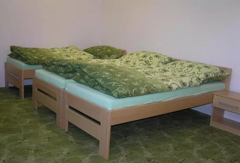 ペンション Penzion U Tomášů