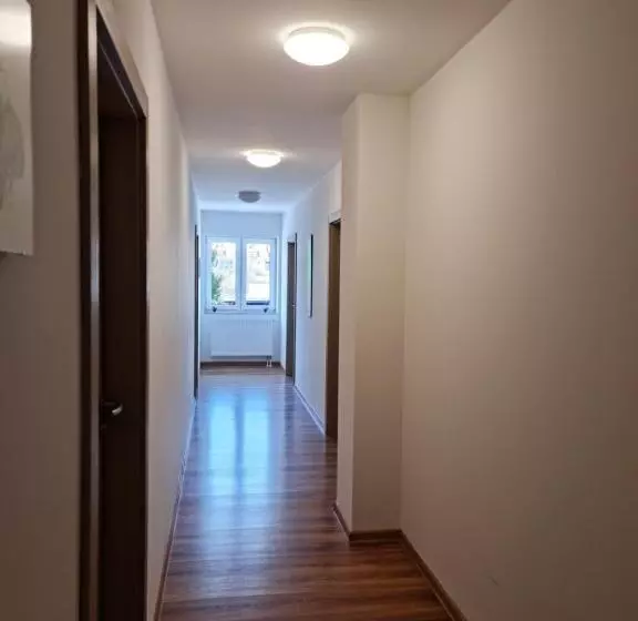 Pension Sonnwendgasse