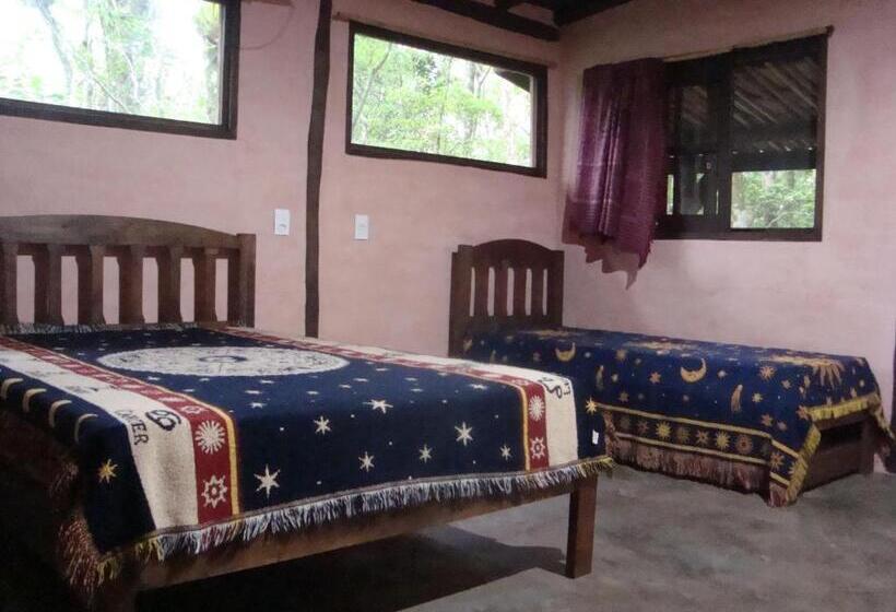 ユースホステル Pousada Vida Artesanal