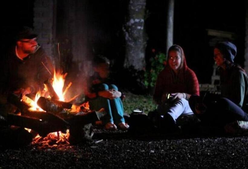 ユースホステル Pousada Vida Artesanal