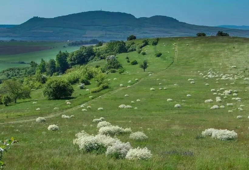 Apartmány S Klimatizací   Penzion U Kudláčků Pouzdřany