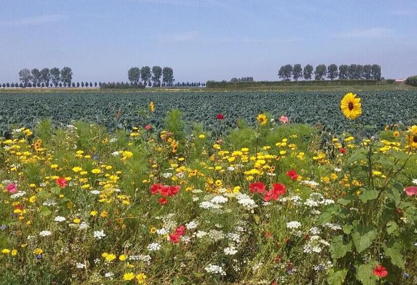 Bed and Breakfast Bed En Breakfast En Bike