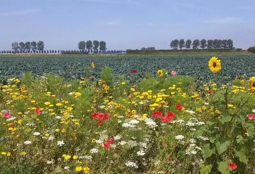 Aamiaismajoitus (B&B) Bed En Breakfast En Bike