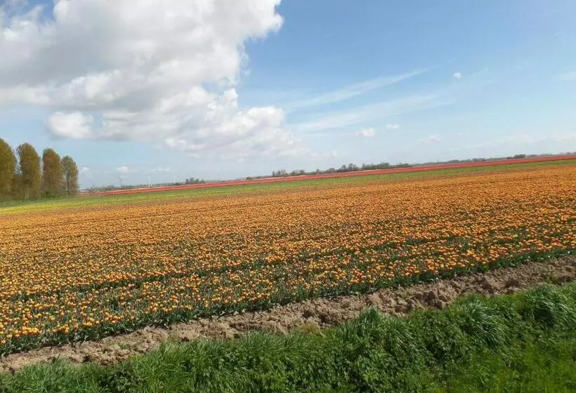 Aamiaismajoitus (B&B) Bed En Breakfast En Bike