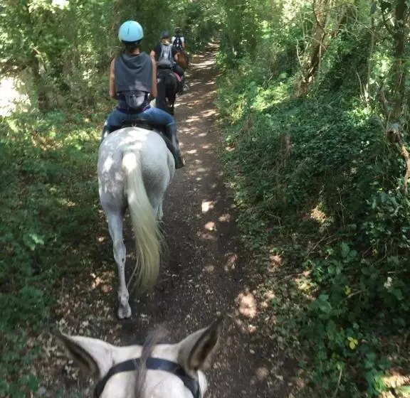 Aamiaismajoitus (B&B) Domaine Des Pierres Jumelles Balade à Cheval Chambre D Hôtes Mayenne