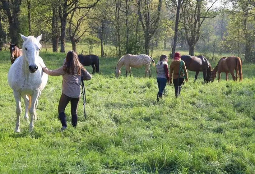 Aamiaismajoitus (B&B) Domaine Des Pierres Jumelles Balade à Cheval Chambre D Hôtes Mayenne