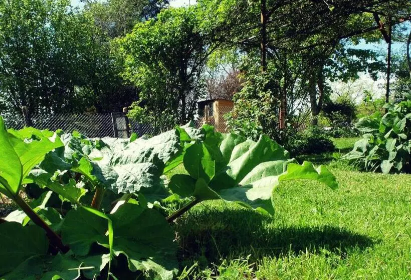 Aamiaismajoitus (B&B) Le Thé Au Jardin