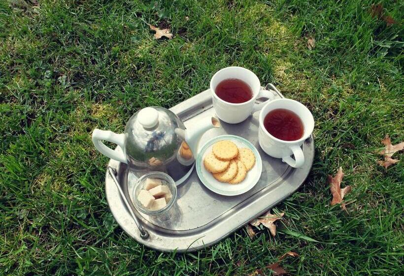 Bed and Breakfast Le Thé Au Jardin