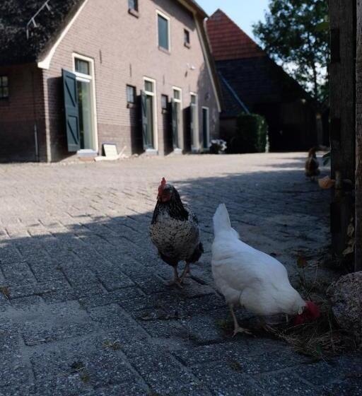 ベッドアンドブレックファースト Onder De Appelboom