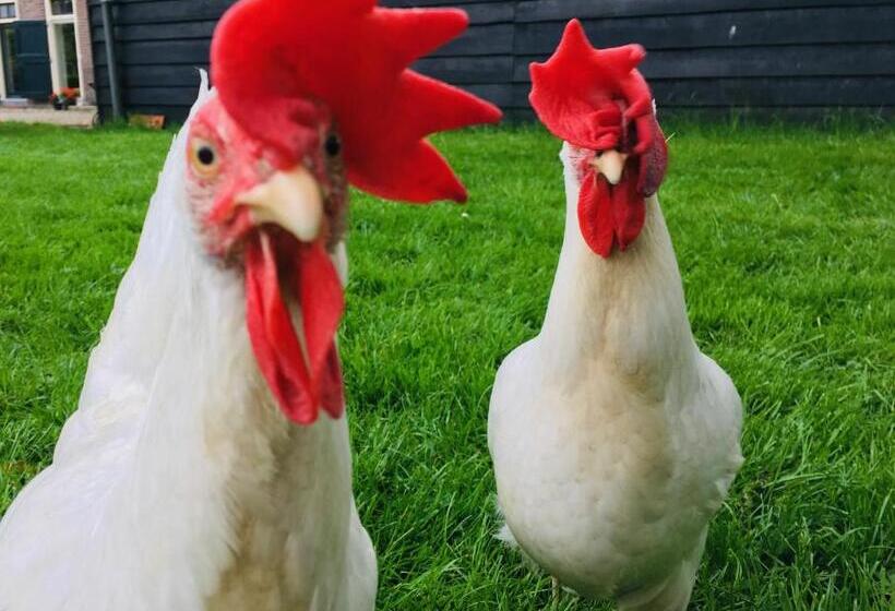 ベッドアンドブレックファースト Onder De Appelboom