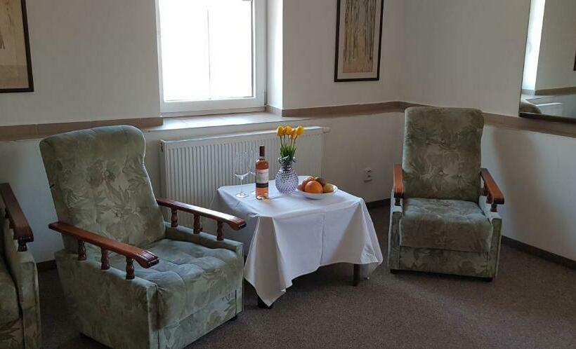 Bed and Breakfast Penzion Cerny Mlyn Sokolov