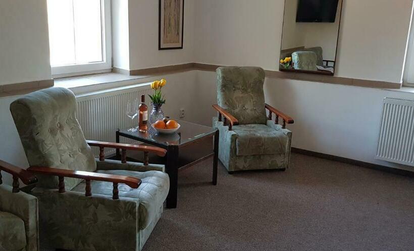 Bed and Breakfast Penzion Cerny Mlyn Sokolov