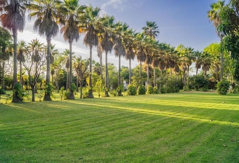 فندق Finca San Javier