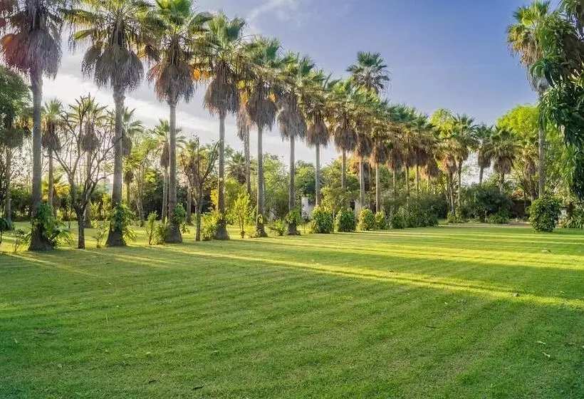 ホテル Finca San Javier