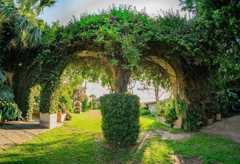 فندق Finca San Javier