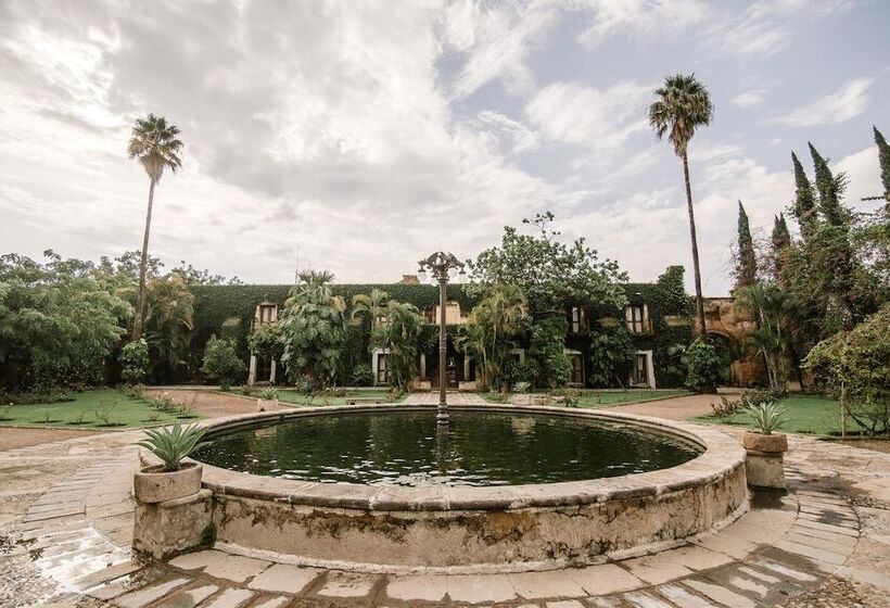 فندق Finca San Javier