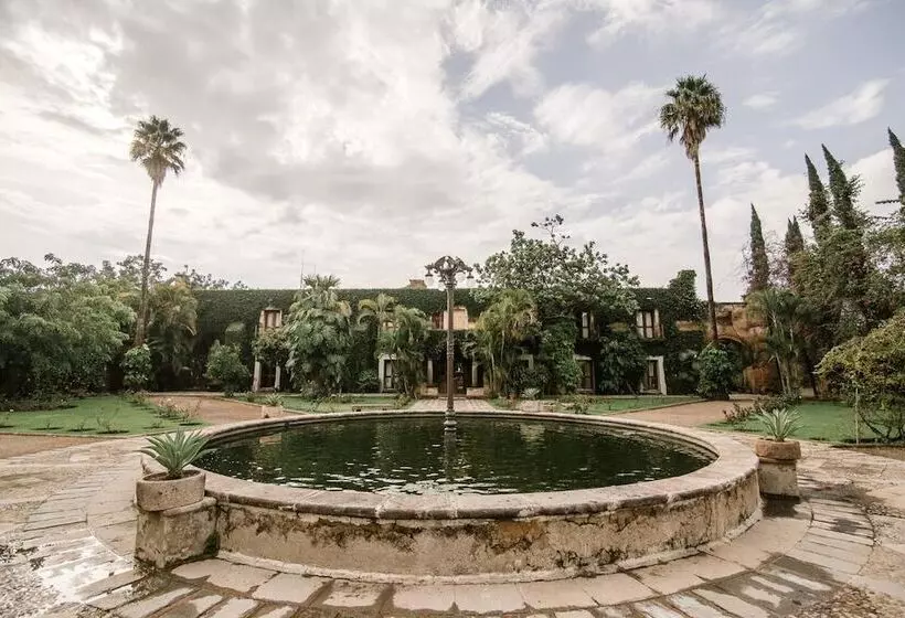 ホテル Finca San Javier