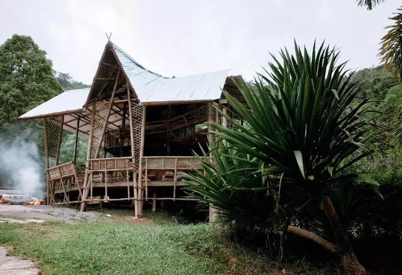 ホテル Khaokhopimphupha Farmstay เขาค้อพิมภูผาฟาร์มสเตย์ ไม่มีไฟฟ้า น้ำจากน้ำตกธรรมชาติ Low Cabon With Sust