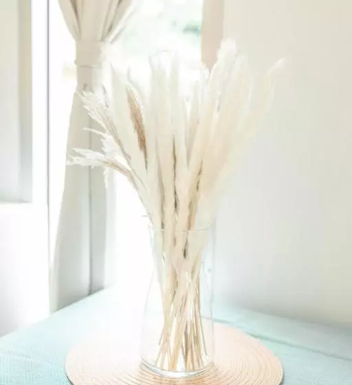 My Home Resort   Koh Phangan Vacation House Rentals