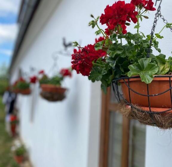 بنسيون Casa Cânda