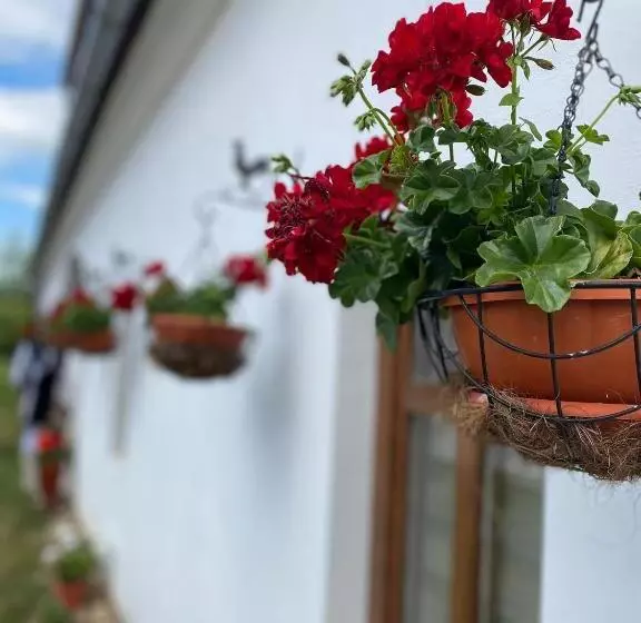 ペンション Casa Cânda