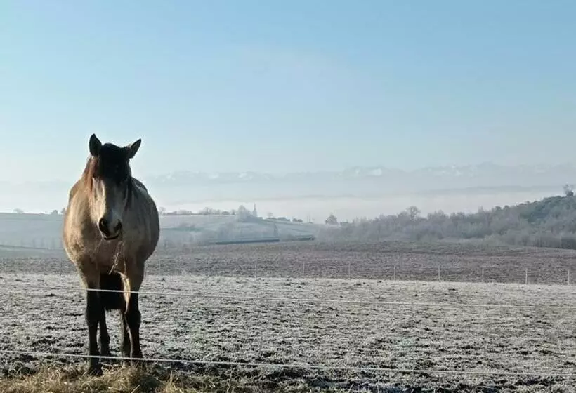 Majatalo Domaine De Buffevent