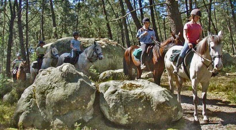 פנסיון Etape Forêt Fontainebleau Climb & Randonnées