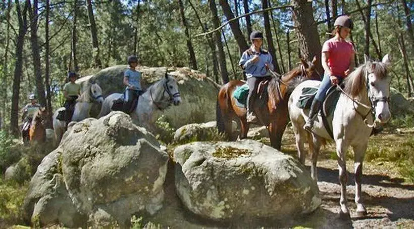 Majatalo Etape Forêt Fontainebleau Climb & Randonnées