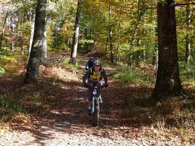Majatalo Etape Forêt Fontainebleau Climb & Randonnées