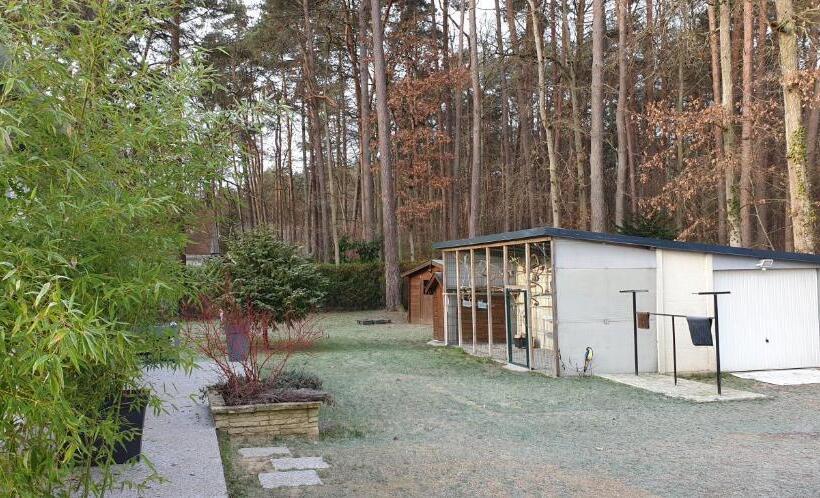 פנסיון Etape Forêt Fontainebleau Climb & Randonnées