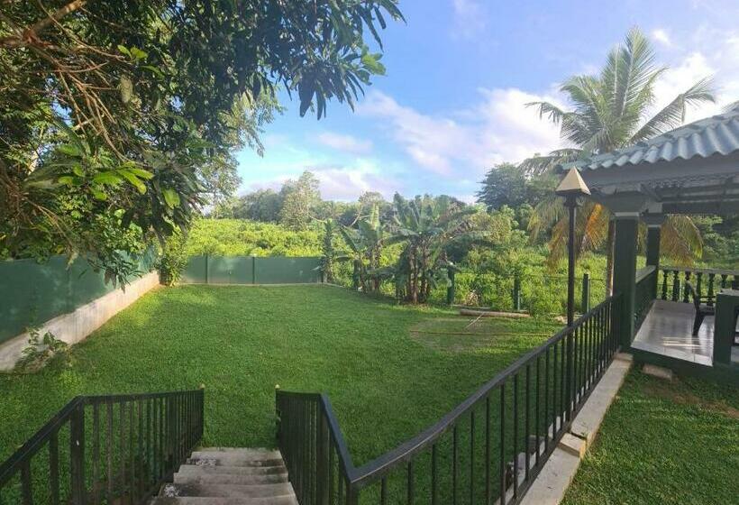 ペンション Room In Bb  Suma Villa 240 Bentara Uragaha Elpitiya Rd Bentota 3