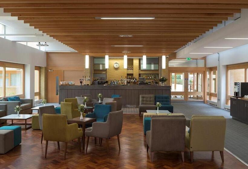 酒店 College Court