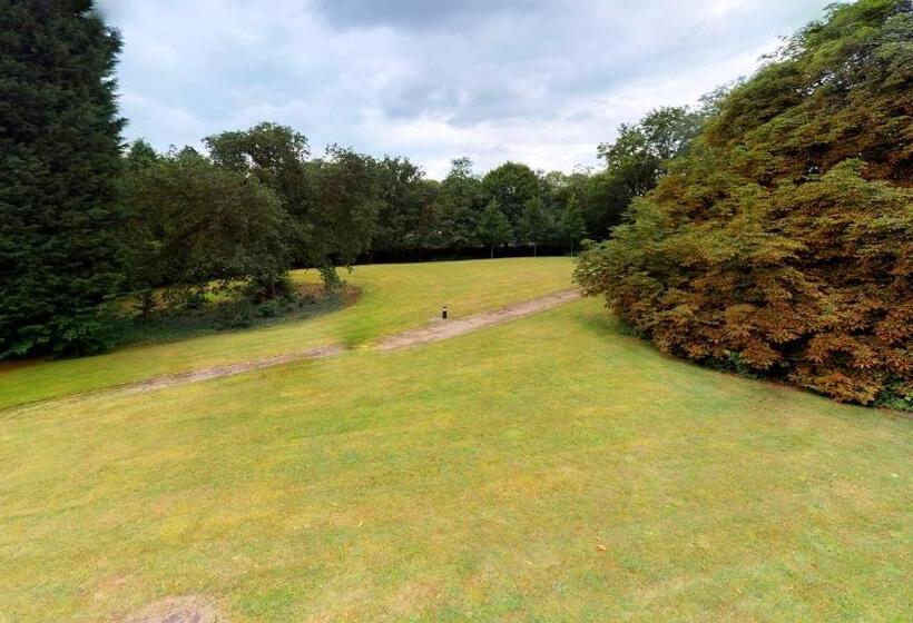 酒店 College Court