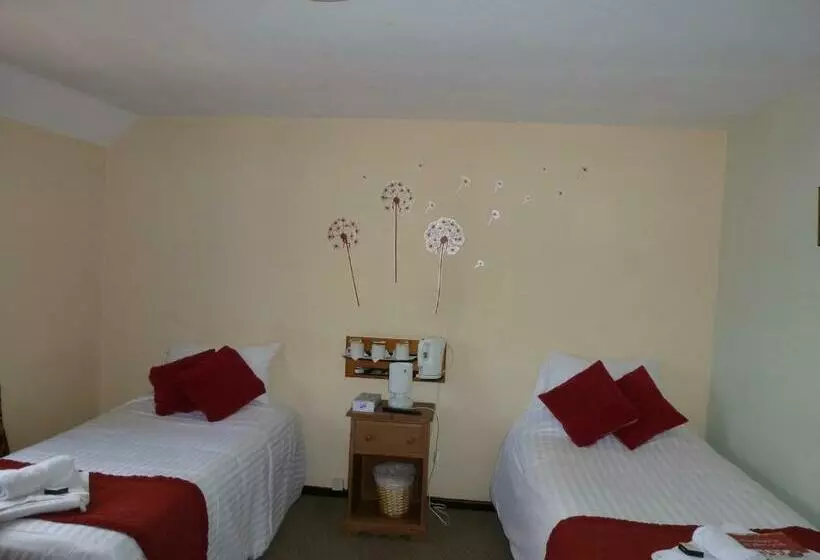 בית מלון כפרי Narborough Arms