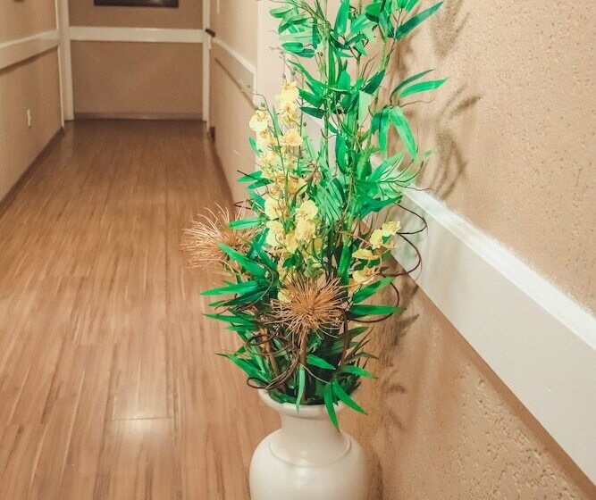 Отель Pousada Villa Vecchia