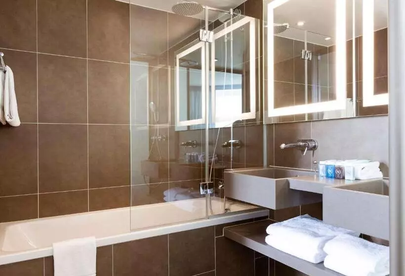 Novotel Paris Saint Denis Stade Basilique