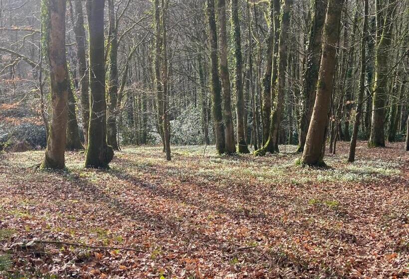 צימר Old Orchard