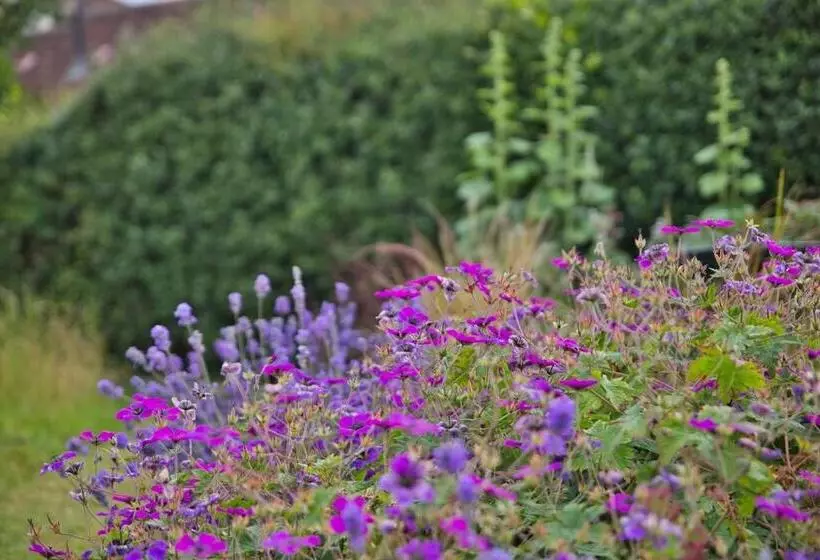 Aamiaismajoitus (B&B) Old Orchard