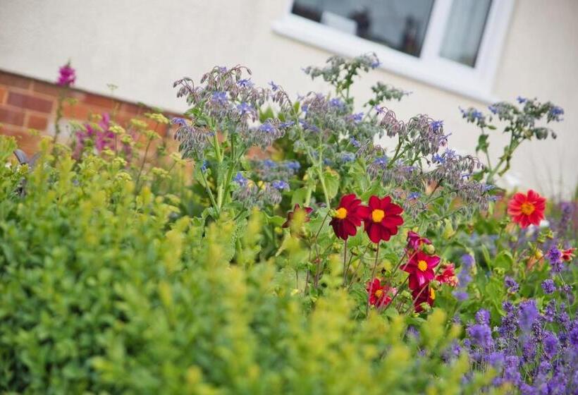 צימר Old Orchard