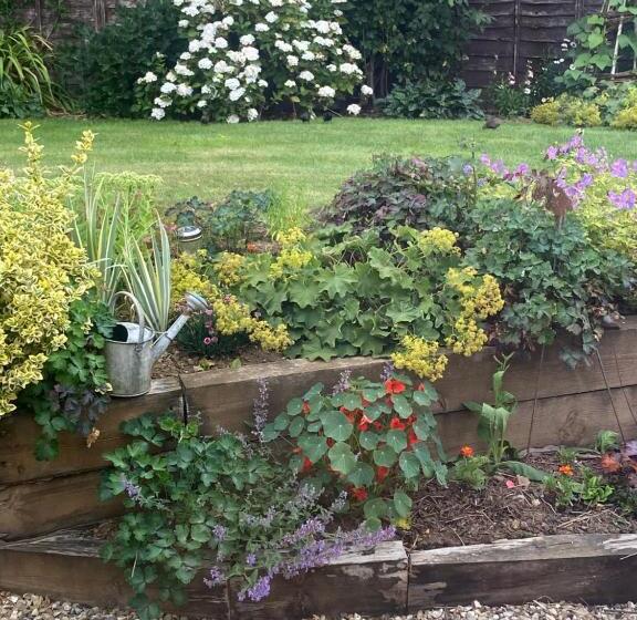 צימר Old Orchard