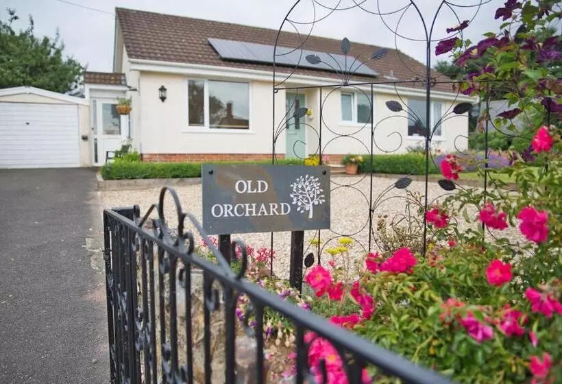 Aamiaismajoitus (B&B) Old Orchard