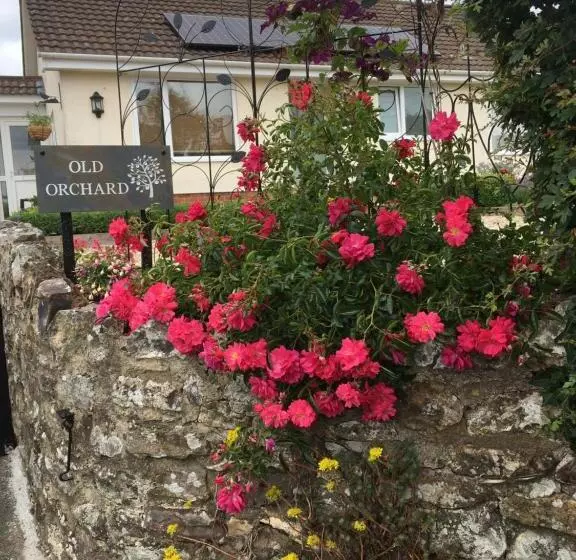 Aamiaismajoitus (B&B) Old Orchard