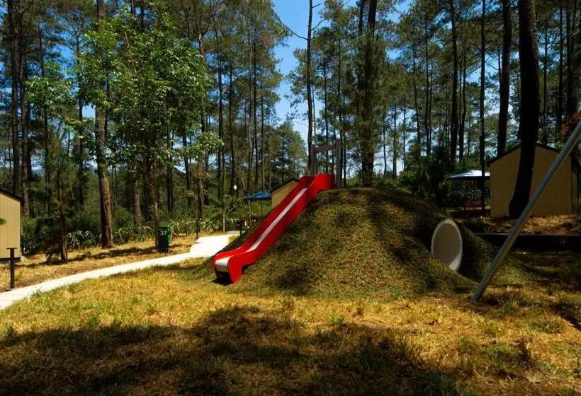 Lomakeskus Bobocabin Cikole, Bandung