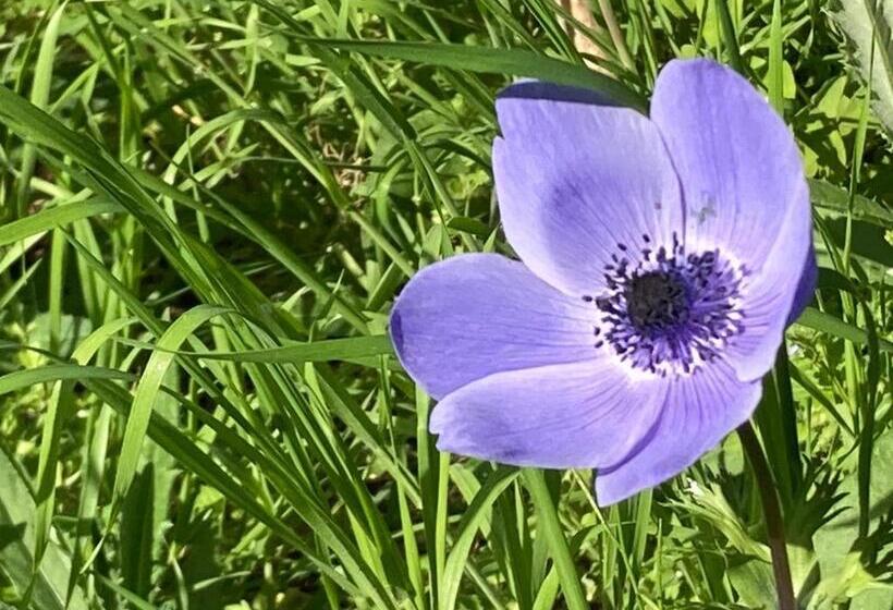 ベッドアンドブレックファースト Casa Dormiveglia