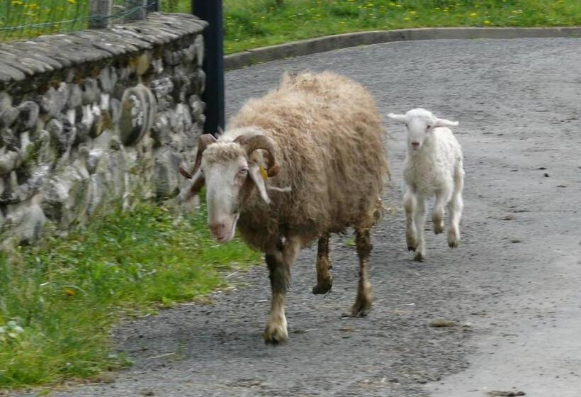 ベッドアンドブレックファースト Chambre Chez Sylvie