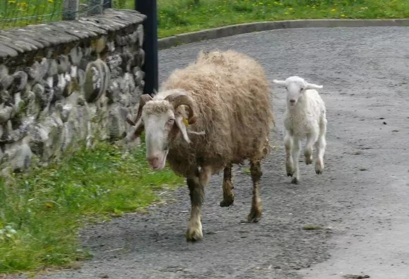 Aamiaismajoitus (B&B) Chambre Chez Sylvie