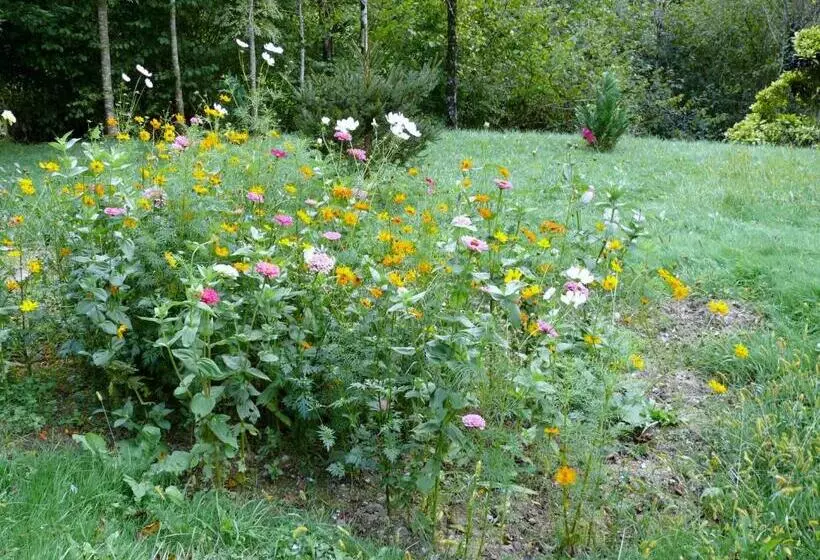 Aamiaismajoitus (B&B) Chambre Chez Sylvie