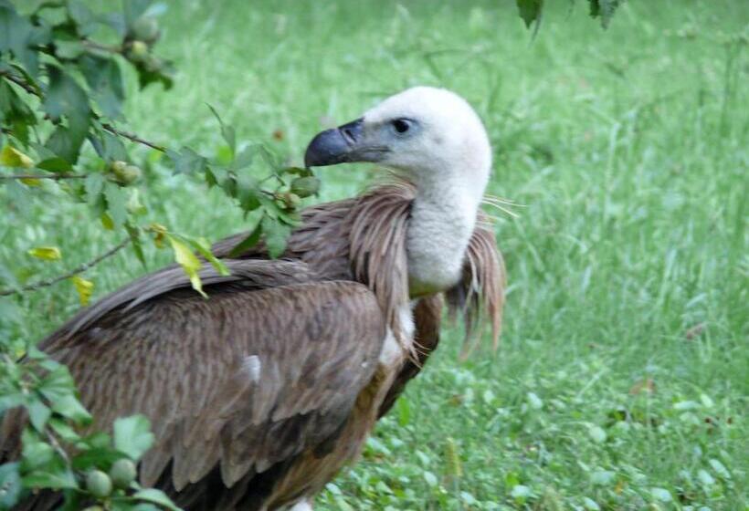 ベッドアンドブレックファースト Chambre Chez Sylvie